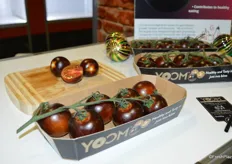Winner of the Innovation award at Fruit Logistica Berlin is the Yoom tomato. Red Sun Farms is the first grower-shipper in North America to offer the new variety. Two other greenhouse growers in North America also have the right to sell the variety. 